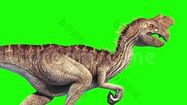 Oviraptor恐龙运行周期关闭绿屏侏罗纪世界三维渲染